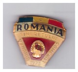 Insigna Uniunea Tineretului Comunist 1973, model plastifiat, Romania de la 1950