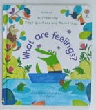 WHAT ARE FEELINGS ? LIFT - THE - FLAP , FIRST QUESTIONS AND ANSWERS by CHRISTINE PYM and KATIE DAYNES , 2019