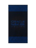 Red Bull Racing Prosop logo multicolour F1 Team 2023 - 50 x 100 cm