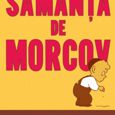 Sămânţa de morcov