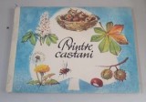 PRINTRE CASTANI - IRENE GEILING , ilustratii de ILSE HESLER , 1975