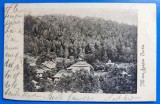Manastirea Agapia Vechie (Veche) - Neamt - printata, circulata