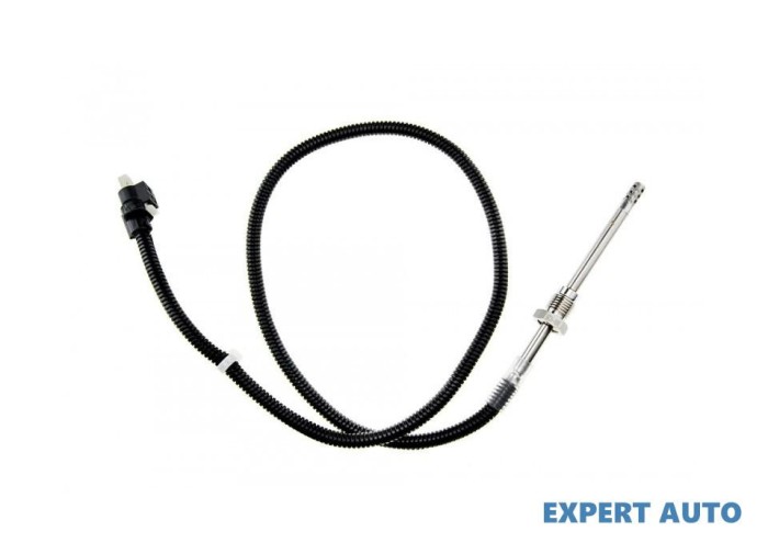 Senzor temperatura gaze dpf Chrysler 300C (2004-2010) [LX,LE] #1