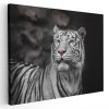 Tablou tigru alb cu ochi albastri Tablou canvas pe panza CU RAMA 70x100 cm