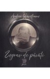 Zugrav de pacate - Andrei Slavuteanu