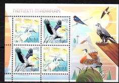 UNGARIA 2019, EUROPA CEPT, Fauna - Pasari, serie neuzata, MNH