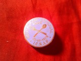 Insigna - Restaurant Comunal ICSAP 1949- 1979 Intreprinderea Comert si Alimentatie Publica , d=2,3cm