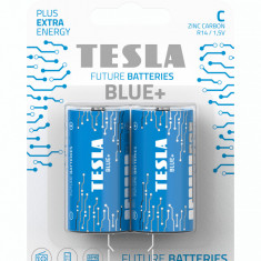 Baterii 9V Blue+ 1099137013 Voltaj 1,5 Zinc Carbon 2 bucati