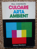 CULOARE,ARTA,AMBIENT de PAUL CONSTANTIN,1979