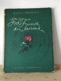 Mihai Eminescu - Fat Frumos din Lacrima