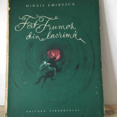 Mihai Eminescu - Fat Frumos din Lacrima