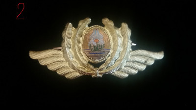 M3 C16 - Emblema militara - Comunism - Aviatie - Varianta mica foto