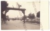 2785 - TARGU-MURES, Romania - old postcard, real PHOTO - unused, Necirculata, Fotografie