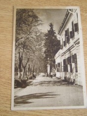 MRC - CARTI POSTALE ORADEA NR 5