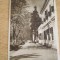 MRC - CARTI POSTALE ORADEA NR 5