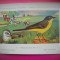 HOPCT 6263 MOTACILLA FLAVA FLAVA -PASARI-FAUNA EUROPA-CP CHROMO LITHO -MUZEUL REGAL STIINTE NATURALE BELGIA-NECIRCULATA