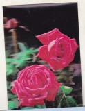Bnk cp Carte postala 3D - Trandafiri, Necirculata, Printata