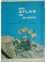 I. Todor - Mic atlas de plante din flora Republicii Socialiste Romania (Editia: 1968) foto