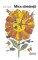 Foto  - 1