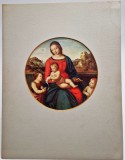 Vtg Art Print din 1903 RAFFAEL - Madonna del Duca di Terranuova _ Vechi Maestri