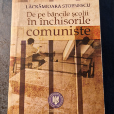 De la bancile scolii in inchisorile comuniste Lacramioara Stoenescu