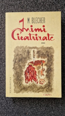 INIMI CICATRIZATE - Blecher foto