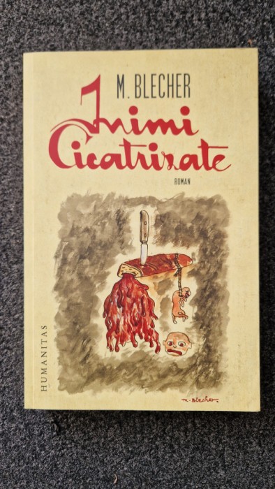 INIMI CICATRIZATE - Blecher