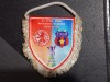 Fanion FC Middlesbrouch - Steaua semifinala Cupa UEFA
