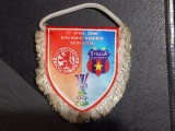 Fanion Steaua - F C Middlesbrouch semifinala Cupa UEFA
