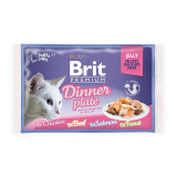 Cumpara ieftin Brit Cat MPK Delicate Dinner plate in Jelly, 4 x 85 g