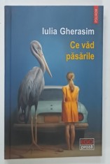 CE VAD PASARILE , povestiri de IULIA GHERASIM , 2024 foto
