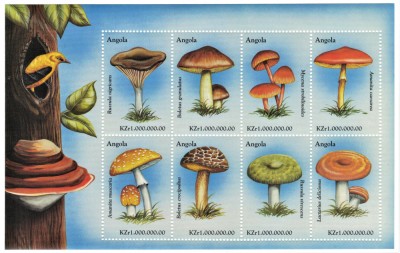 ANGOLA 1999 - Ciuperci / colita MNH foto