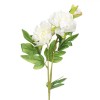 Floare Artificială, Frezie, Tulpină Lunga, Culoare Alb, Material Plastic, &Icirc;nălțime 64cm, Oem