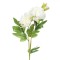 Floare Artificială, Frezie, Tulpină Lunga, Culoare Alb, Material Plastic, &Icirc;nălțime 64cm