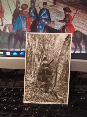 V&amp;acirc;nător, &amp;Icirc;n stand la mistreți, V&amp;acirc;nătoare, feb. 1972 zona Hula, Blaj, j. Alba 205 foto