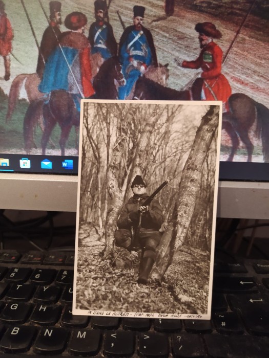 V&acirc;nător, &Icirc;n stand la mistreți, V&acirc;nătoare, feb. 1972 zona Hula, Blaj, j. Alba 205