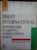 Raluca Miga-Besteliu - Drept international. Introducere in dreptul international public (Editia: 1998)