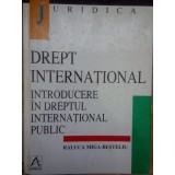 Raluca Miga-Besteliu - Drept international. Introducere in dreptul international public (Editia: 1998)