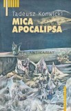 Cumpara ieftin Mica apocalipsa - 2002 - Tadeusz Konwicki (@E26)