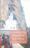 PRIETENUL NOSTRU, SFANTUL VASILE DE LA OSTROG - DANION VASILE - Editura AREOPARG, 2019 - Carte Crestinism