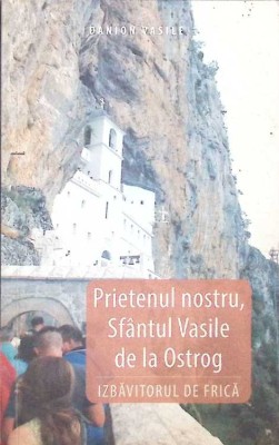 PRIETENUL NOSTRU, SFANTUL VASILE DE LA OSTROG-DANION VASILE-262377 foto