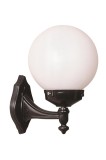 Cumpara ieftin Aplica tip felinar BAP-68160-BSY-M1-OP Negru/Alb