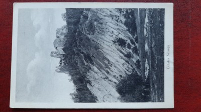 Cetatea Neamtu-C.P.necirc. foto