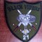 C7 14 - Ecuson tematica militara - vanatori munte - piese de colectie!