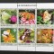GUINEA BISSAU-FAUNA-FLUTURI-1 M/Sh.- NEOBLITERAT -G BIS 304A