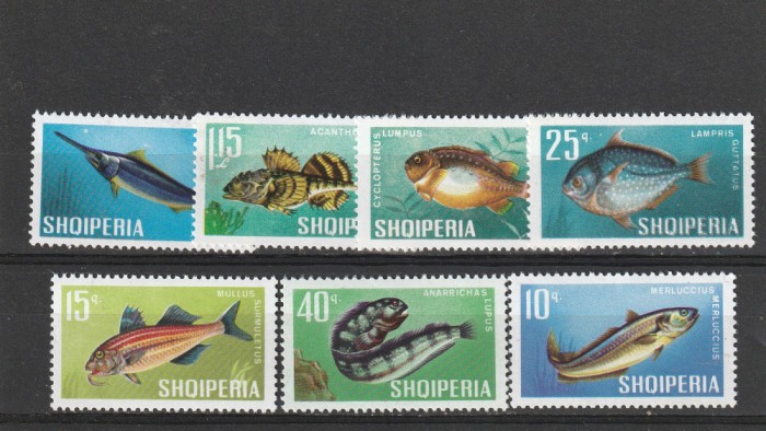 Fauna,pesti,Albania.