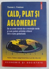 CALD , PLAT SI AGLOMERAT de THOMAS L . FRIEDMAN , 2010