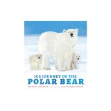 Ice Journey of the Polar Bear