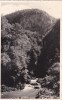 Valea Galbenei (1936, necirculata)