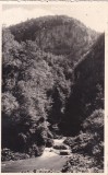 Valea Galbenei (1936, necirculata)